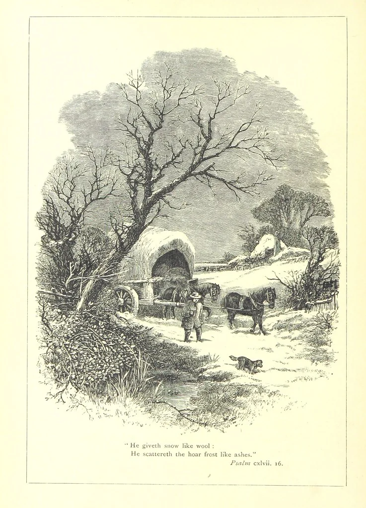 An illustration from The Months illustrated by pen and pencil. Edited by ... S. M. The designs by N. Humphreys, J. Gilbert, etc, 1876, leaf 20