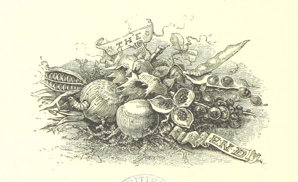 An illustration from The Months illustrated by pen and pencil. Edited by ... S. M. The designs by N. Humphreys, J. Gilbert, etc, 1876, leaf 228
