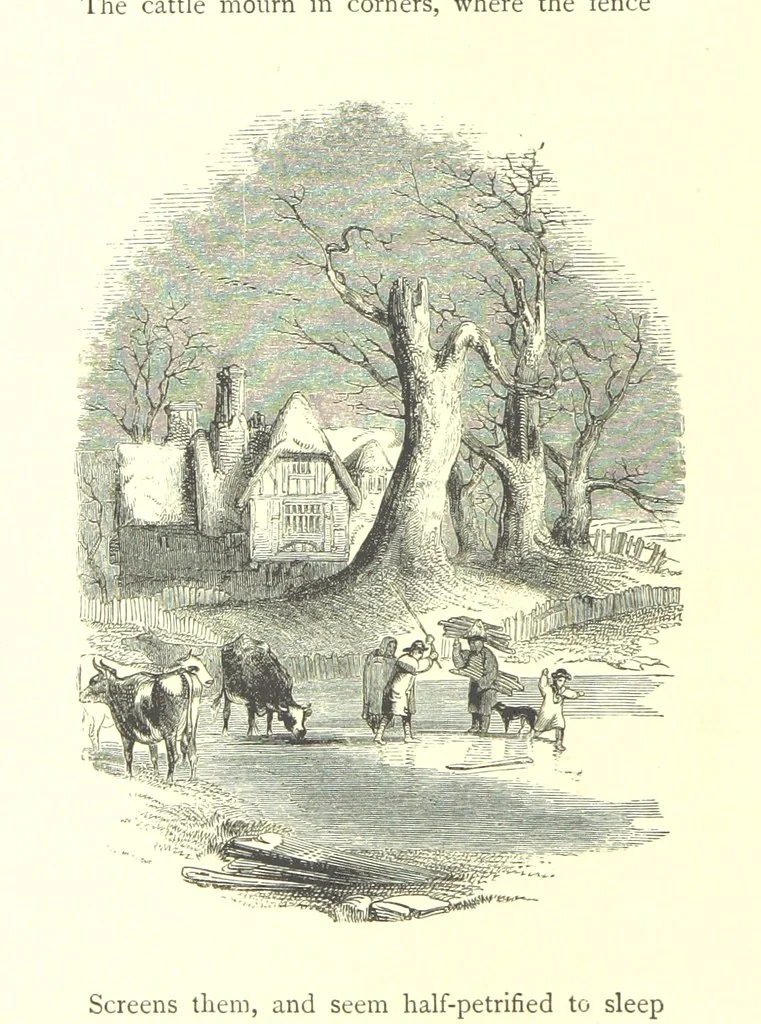 An illustration from The Months illustrated by pen and pencil. Edited by ... S. M. The designs by N. Humphreys, J. Gilbert, etc, 1876, leaf 26