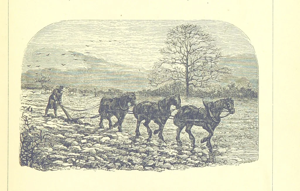 An illustration from The Months illustrated by pen and pencil. Edited by ... S. M. The designs by N. Humphreys, J. Gilbert, etc, 1876, leaf 47