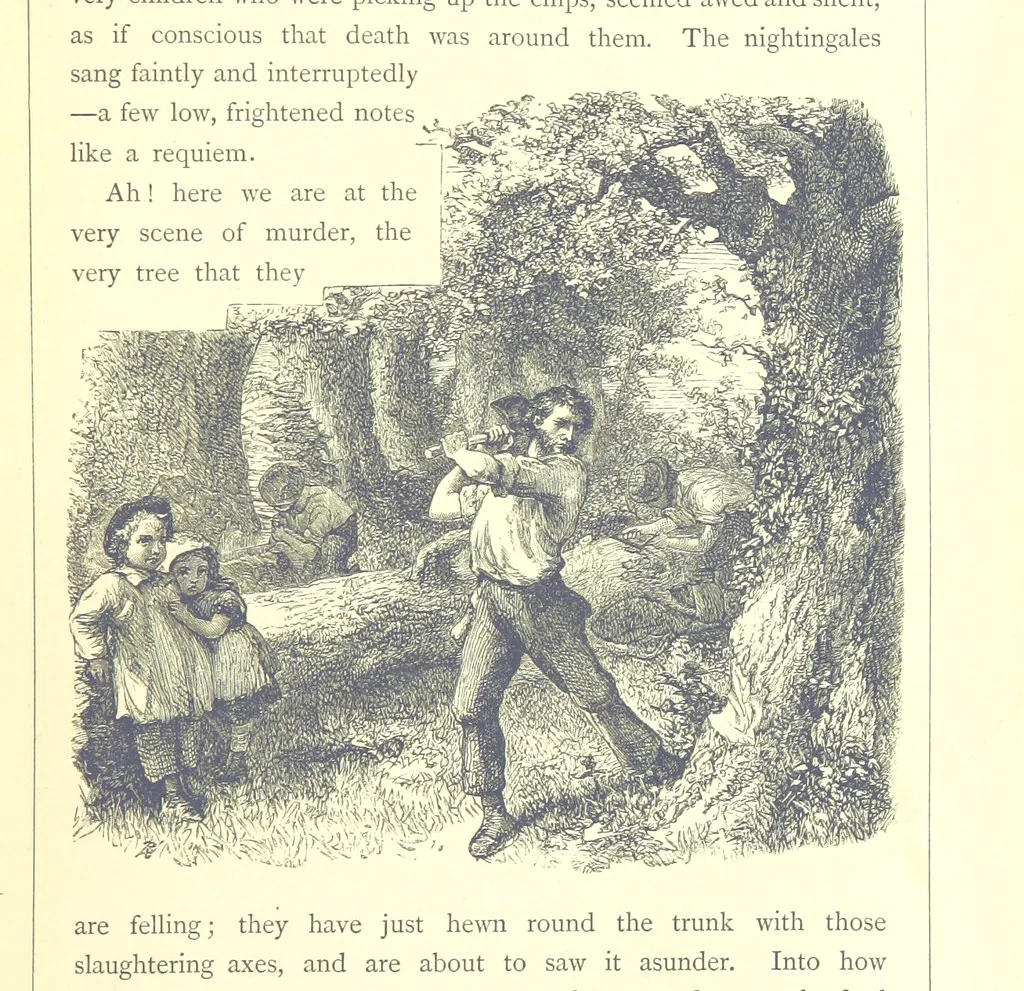 An illustration from The Months illustrated by pen and pencil. Edited by ... S. M. The designs by N. Humphreys, J. Gilbert, etc, 1876, leaf 63