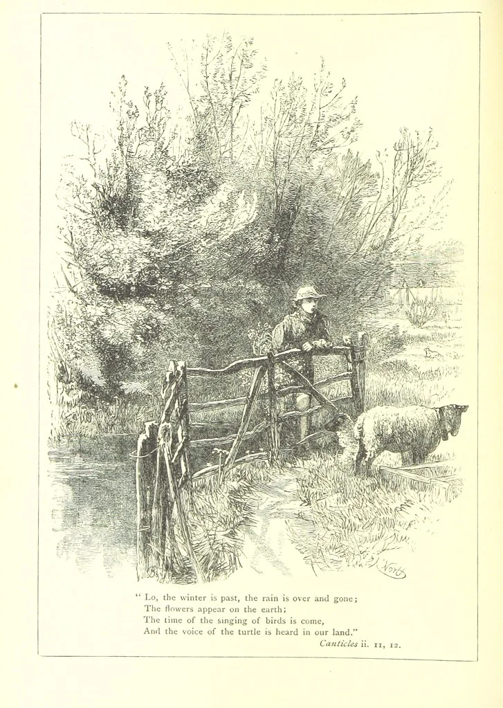An illustration from The Months illustrated by pen and pencil. Edited by ... S. M. The designs by N. Humphreys, J. Gilbert, etc, 1876, leaf 94