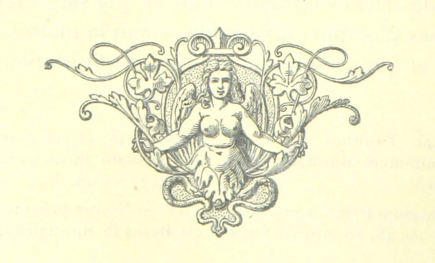 An illustration from Histoire de Béarn ... Nouvelle édition orne ... de plusieurs gravures, avec la vie de Marca, une généalogie, la bibliographie de ses œuvres ... Par M. l'abbé V. Dubarat, 1894, leaf 386