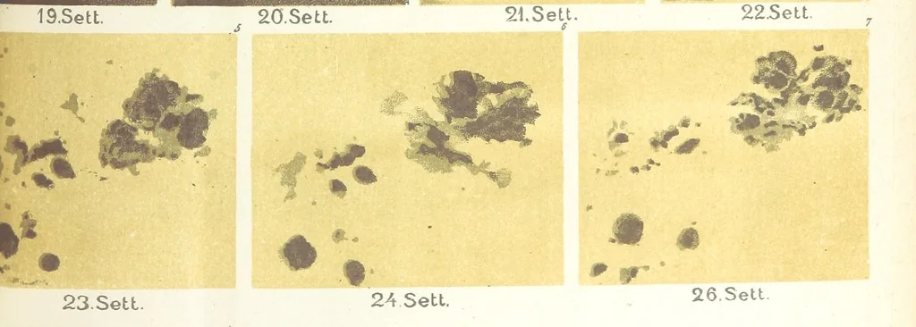 An illustration from La Terra, trattato popolare di geografia universale per G. Marinelli ed altri scienziati italiani, etc. [With illustrations and maps, 1898, leaf 1005