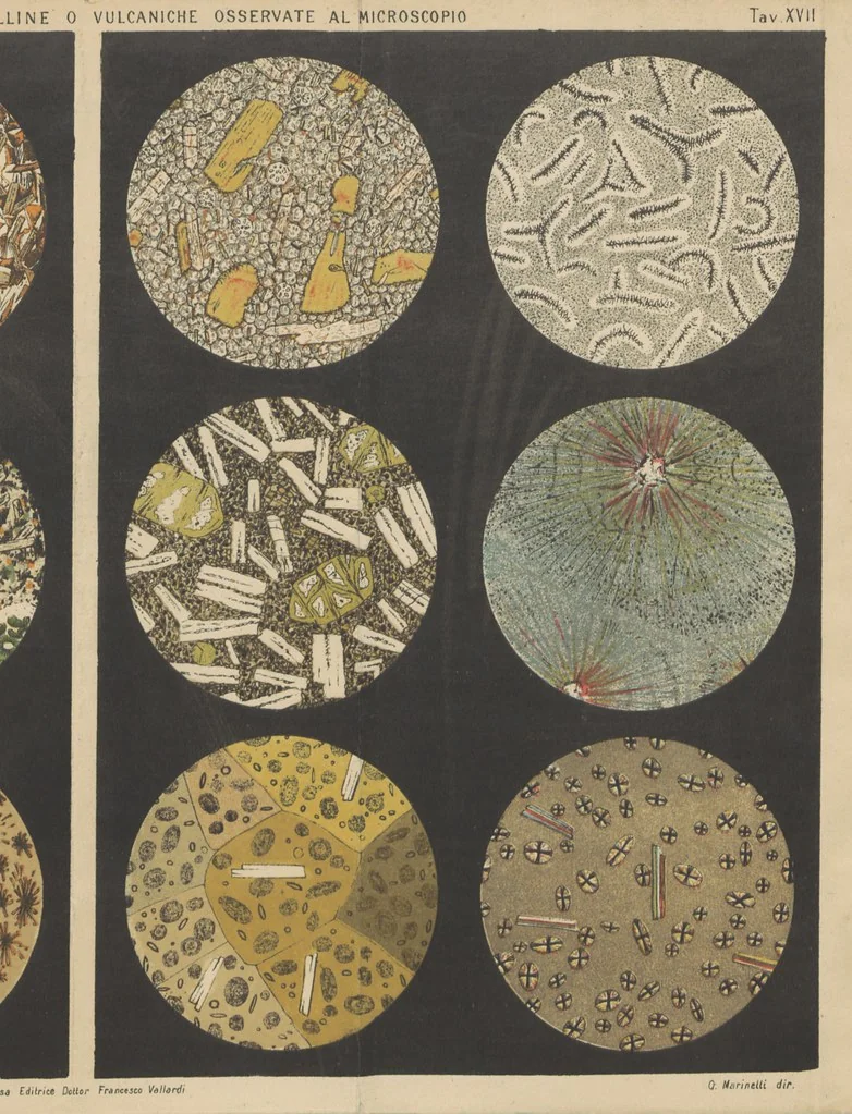 An illustration from La Terra, trattato popolare di geografia universale per G. Marinelli ed altri scienziati italiani, etc. [With illustrations and maps, 1898, leaf 1033