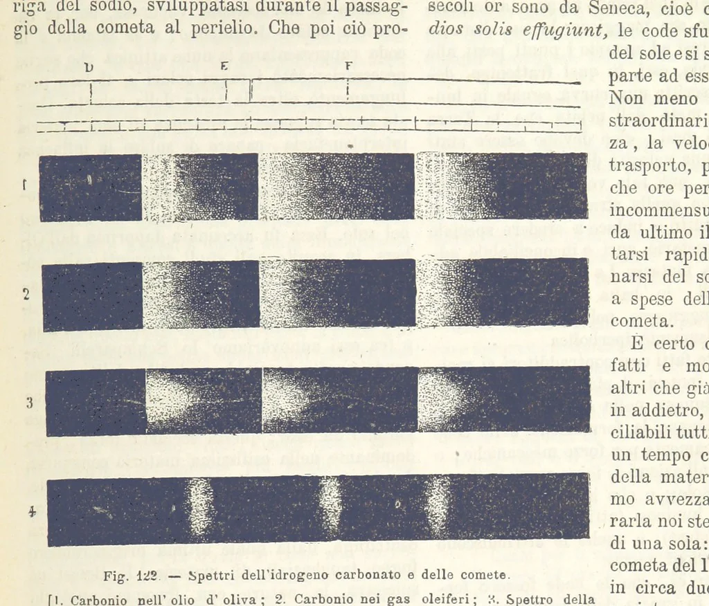 An illustration from La Terra, trattato popolare di geografia universale per G. Marinelli ed altri scienziati italiani, etc. [With illustrations and maps, 1898, leaf 171