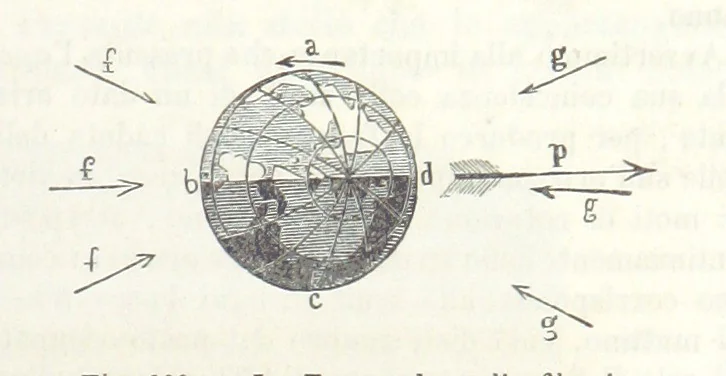 An illustration from La Terra, trattato popolare di geografia universale per G. Marinelli ed altri scienziati italiani, etc. [With illustrations and maps, 1898, leaf 181