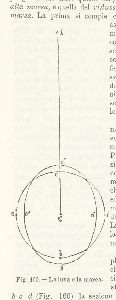 An illustration from La Terra, trattato popolare di geografia universale per G. Marinelli ed altri scienziati italiani, etc. [With illustrations and maps, 1898, leaf 244