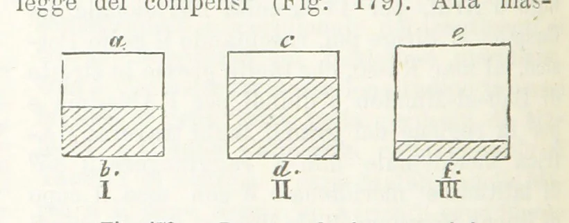 An illustration from La Terra, trattato popolare di geografia universale per G. Marinelli ed altri scienziati italiani, etc. [With illustrations and maps, 1898, leaf 274