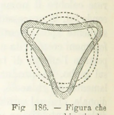 An illustration from La Terra, trattato popolare di geografia universale per G. Marinelli ed altri scienziati italiani, etc. [With illustrations and maps, 1898, leaf 278