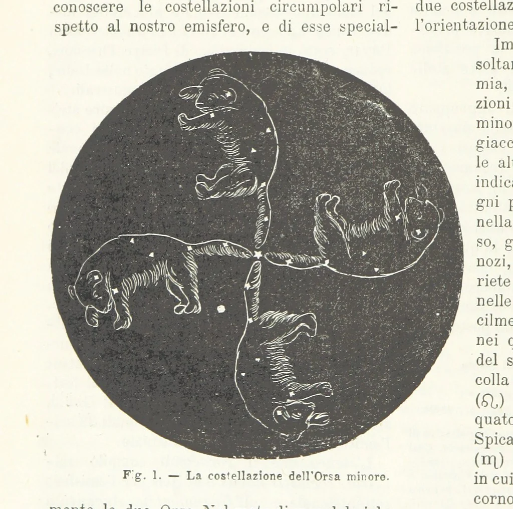 An illustration from La Terra, trattato popolare di geografia universale per G. Marinelli ed altri scienziati italiani, etc. [With illustrations and maps, 1898, leaf 28