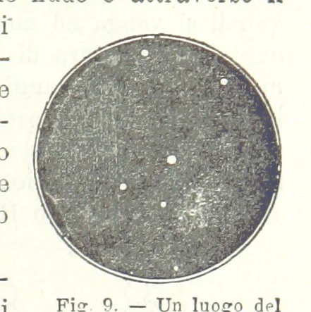 An illustration from La Terra, trattato popolare di geografia universale per G. Marinelli ed altri scienziati italiani, etc. [With illustrations and maps, 1898, leaf 37
