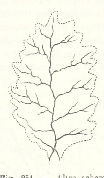 An illustration from La Terra, trattato popolare di geografia universale per G. Marinelli ed altri scienziati italiani, etc. [With illustrations and maps, 1898, leaf 421