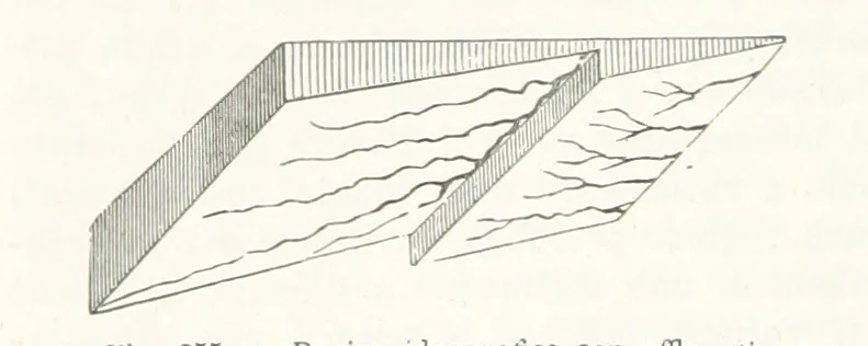 An illustration from La Terra, trattato popolare di geografia universale per G. Marinelli ed altri scienziati italiani, etc. [With illustrations and maps, 1898, leaf 422