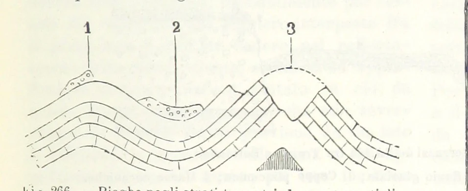 An illustration from La Terra, trattato popolare di geografia universale per G. Marinelli ed altri scienziati italiani, etc. [With illustrations and maps, 1898, leaf 439