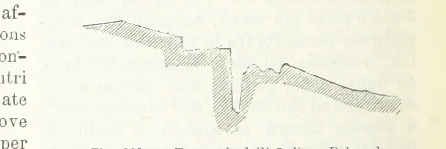 An illustration from La Terra, trattato popolare di geografia universale per G. Marinelli ed altri scienziati italiani, etc. [With illustrations and maps, 1898, leaf 440