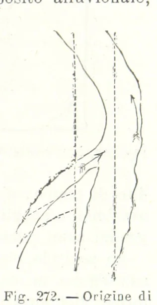 An illustration from La Terra, trattato popolare di geografia universale per G. Marinelli ed altri scienziati italiani, etc. [With illustrations and maps, 1898, leaf 441