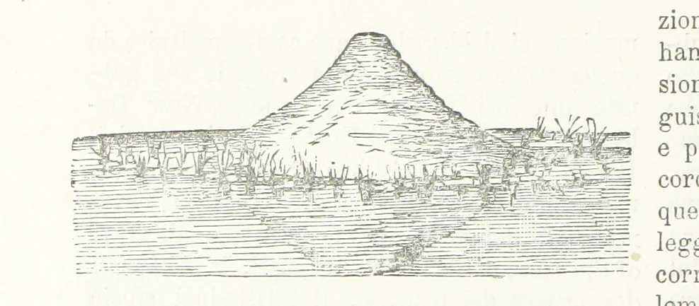 An illustration from La Terra, trattato popolare di geografia universale per G. Marinelli ed altri scienziati italiani, etc. [With illustrations and maps, 1898, leaf 460
