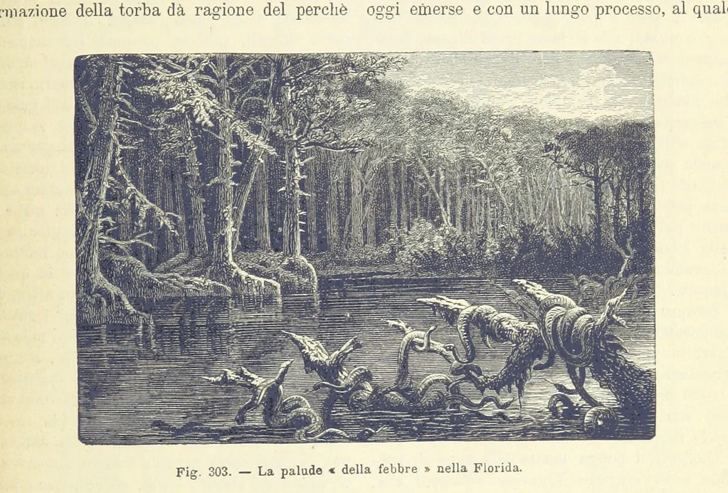 An illustration from La Terra, trattato popolare di geografia universale per G. Marinelli ed altri scienziati italiani, etc. [With illustrations and maps, 1898, leaf 483