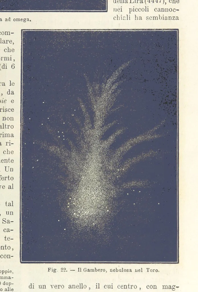An illustration from La Terra, trattato popolare di geografia universale per G. Marinelli ed altri scienziati italiani, etc. [With illustrations and maps, 1898, leaf 51