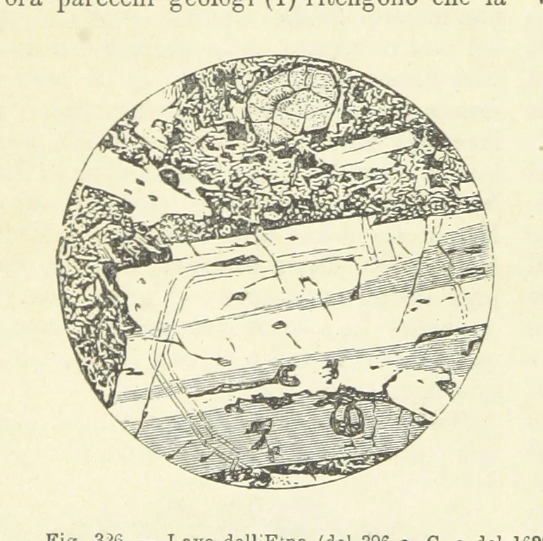 An illustration from La Terra, trattato popolare di geografia universale per G. Marinelli ed altri scienziati italiani, etc. [With illustrations and maps, 1898, leaf 510
