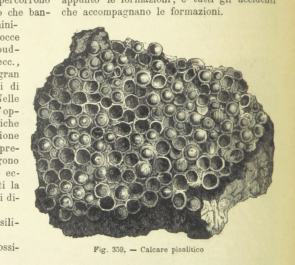 An illustration from La Terra, trattato popolare di geografia universale per G. Marinelli ed altri scienziati italiani, etc. [With illustrations and maps, 1898, leaf 572