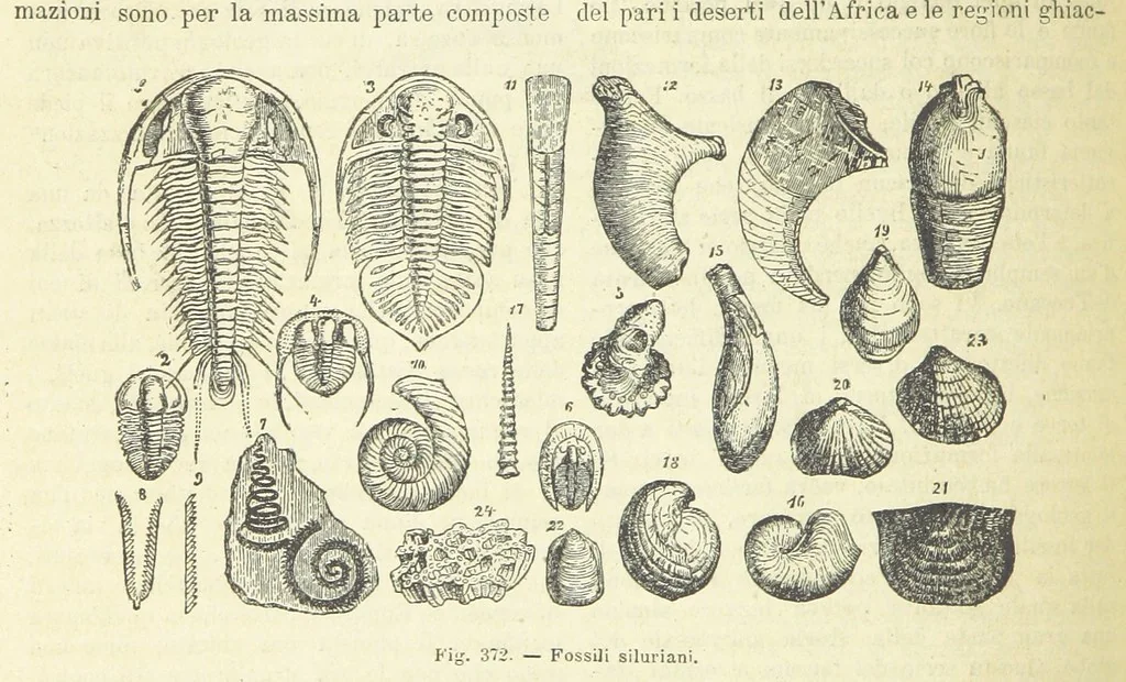 An illustration from La Terra, trattato popolare di geografia universale per G. Marinelli ed altri scienziati italiani, etc. [With illustrations and maps, 1898, leaf 584
