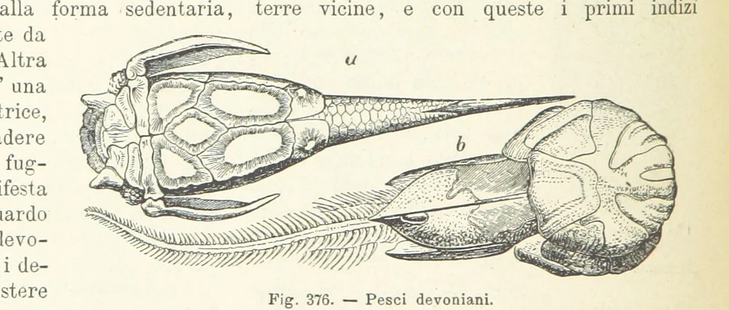 An illustration from La Terra, trattato popolare di geografia universale per G. Marinelli ed altri scienziati italiani, etc. [With illustrations and maps, 1898, leaf 586