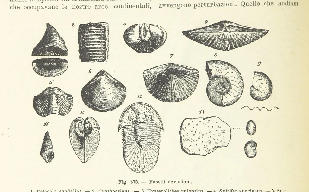 An illustration from La Terra, trattato popolare di geografia universale per G. Marinelli ed altri scienziati italiani, etc. [With illustrations and maps, 1898, leaf 586
