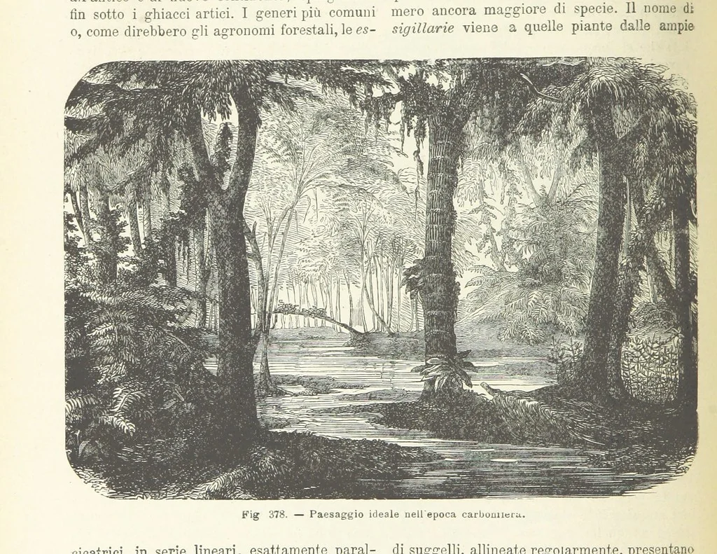 An illustration from La Terra, trattato popolare di geografia universale per G. Marinelli ed altri scienziati italiani, etc. [With illustrations and maps, 1898, leaf 588