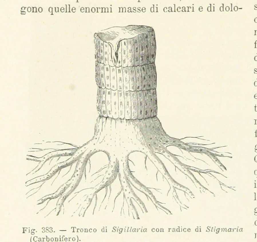 An illustration from La Terra, trattato popolare di geografia universale per G. Marinelli ed altri scienziati italiani, etc. [With illustrations and maps, 1898, leaf 590