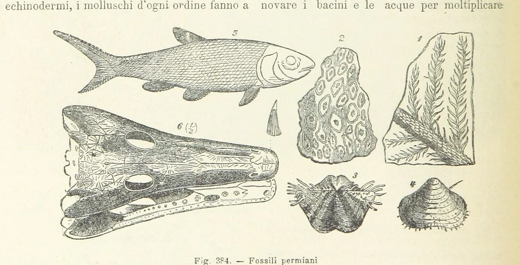 An illustration from La Terra, trattato popolare di geografia universale per G. Marinelli ed altri scienziati italiani, etc. [With illustrations and maps, 1898, leaf 590