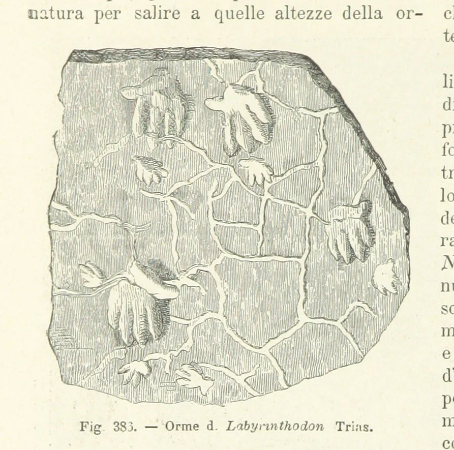An illustration from La Terra, trattato popolare di geografia universale per G. Marinelli ed altri scienziati italiani, etc. [With illustrations and maps, 1898, leaf 592