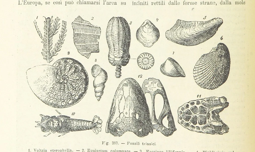 An illustration from La Terra, trattato popolare di geografia universale per G. Marinelli ed altri scienziati italiani, etc. [With illustrations and maps, 1898, leaf 592