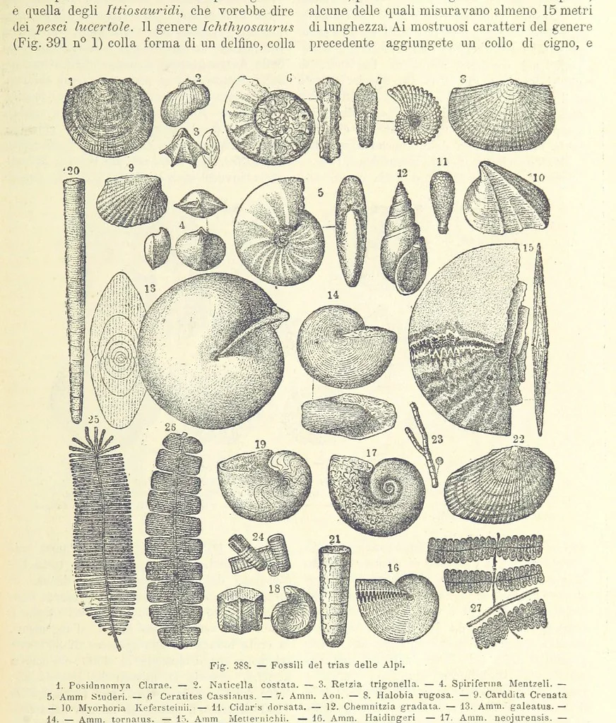 An illustration from La Terra, trattato popolare di geografia universale per G. Marinelli ed altri scienziati italiani, etc. [With illustrations and maps, 1898, leaf 593