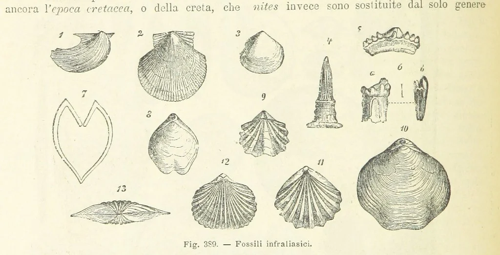 An illustration from La Terra, trattato popolare di geografia universale per G. Marinelli ed altri scienziati italiani, etc. [With illustrations and maps, 1898, leaf 594