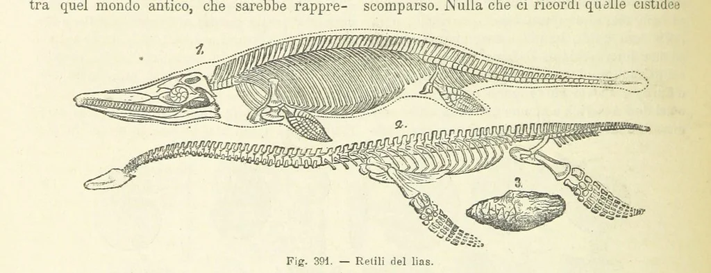 An illustration from La Terra, trattato popolare di geografia universale per G. Marinelli ed altri scienziati italiani, etc. [With illustrations and maps, 1898, leaf 596