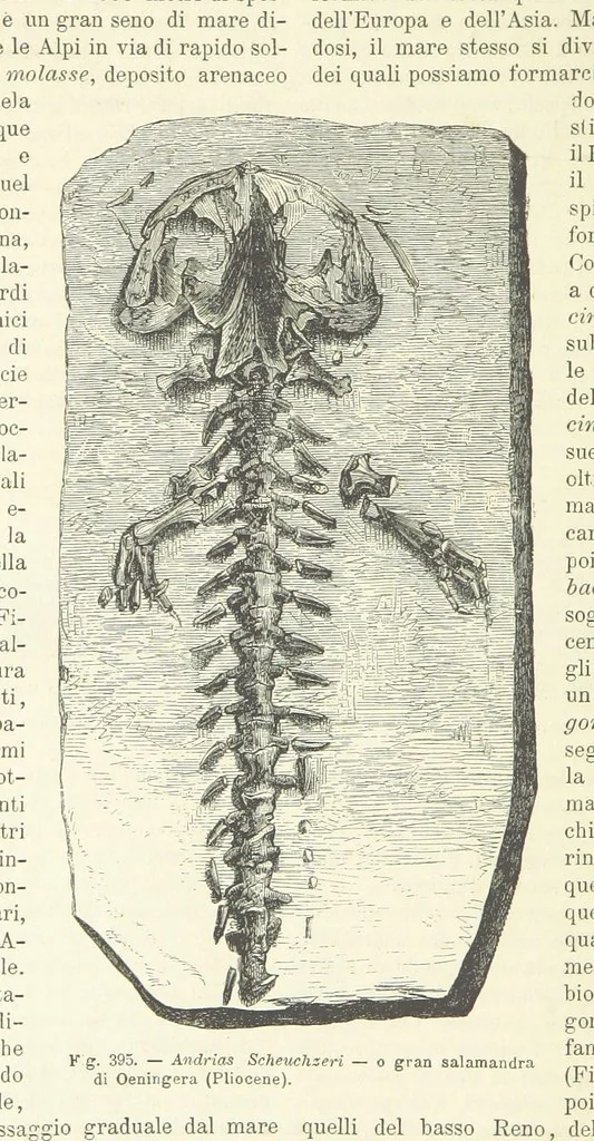 An illustration from La Terra, trattato popolare di geografia universale per G. Marinelli ed altri scienziati italiani, etc. [With illustrations and maps, 1898, leaf 600