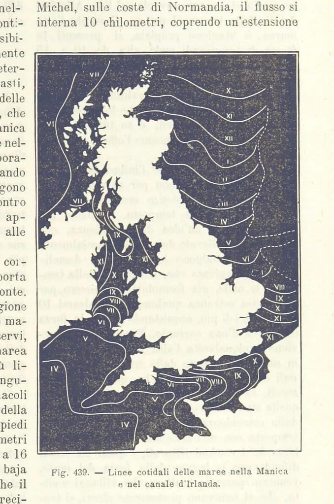 An illustration from La Terra, trattato popolare di geografia universale per G. Marinelli ed altri scienziati italiani, etc. [With illustrations and maps, 1898, leaf 703