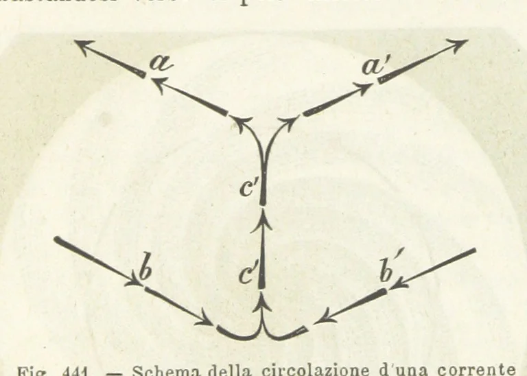 An illustration from La Terra, trattato popolare di geografia universale per G. Marinelli ed altri scienziati italiani, etc. [With illustrations and maps, 1898, leaf 720
