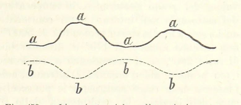 An illustration from La Terra, trattato popolare di geografia universale per G. Marinelli ed altri scienziati italiani, etc. [With illustrations and maps, 1898, leaf 767