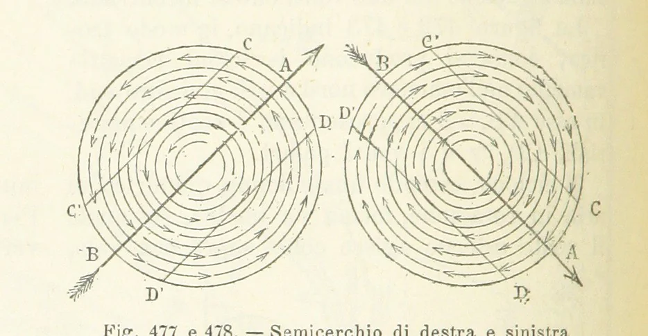 An illustration from La Terra, trattato popolare di geografia universale per G. Marinelli ed altri scienziati italiani, etc. [With illustrations and maps, 1898, leaf 840