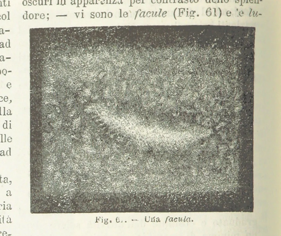 An illustration from La Terra, trattato popolare di geografia universale per G. Marinelli ed altri scienziati italiani, etc. [With illustrations and maps, 1898, leaf 90