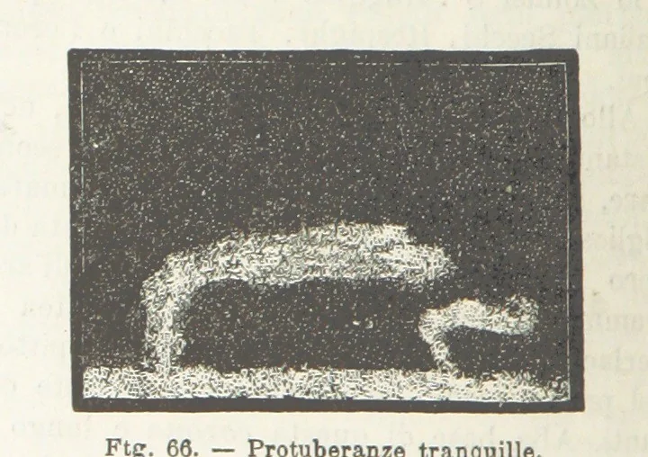 An illustration from La Terra, trattato popolare di geografia universale per G. Marinelli ed altri scienziati italiani, etc. [With illustrations and maps, 1898, leaf 92