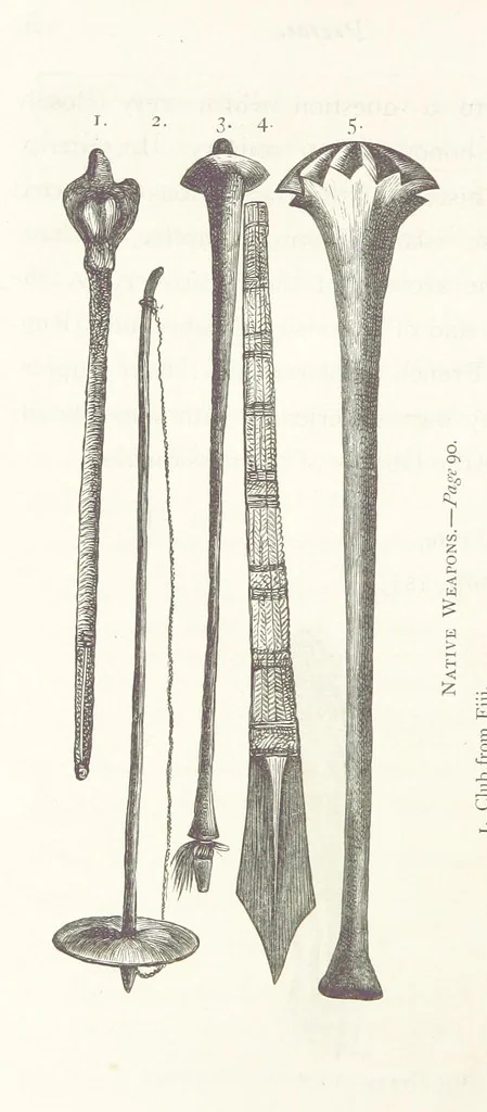 An illustration from The Cruise of the “Rosario” amongst the New Hebrides and Santa Cruz Islands. ... With map and illustrations, 1873, leaf 14