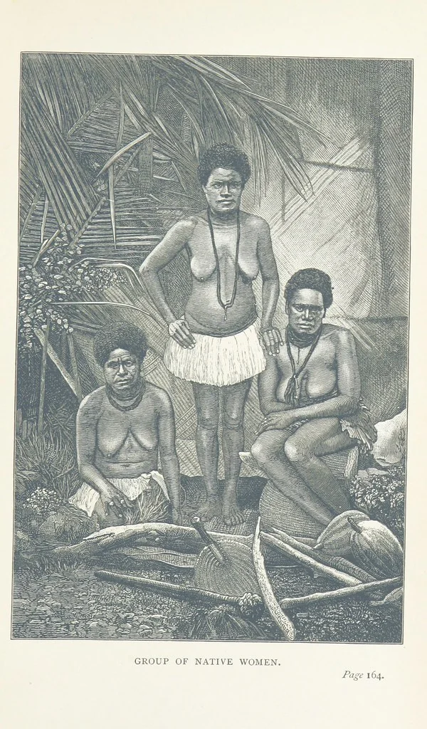 An illustration from The Cruise of the “Rosario” amongst the New Hebrides and Santa Cruz Islands. ... With map and illustrations, 1873, leaf 191