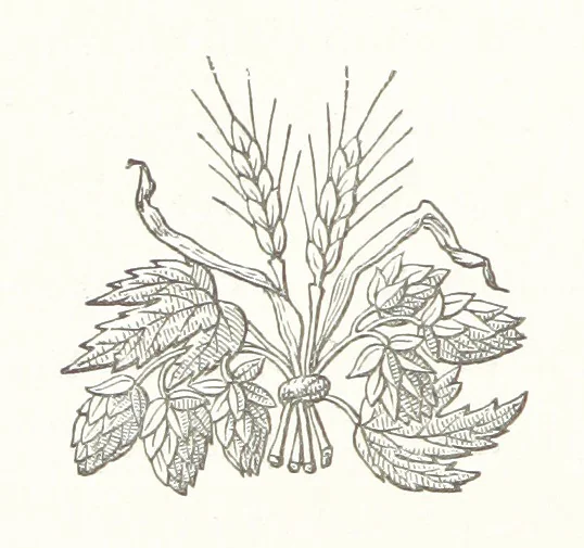 An illustration from The Cruise of the “Rosario” amongst the New Hebrides and Santa Cruz Islands. ... With map and illustrations, 1873, leaf 194