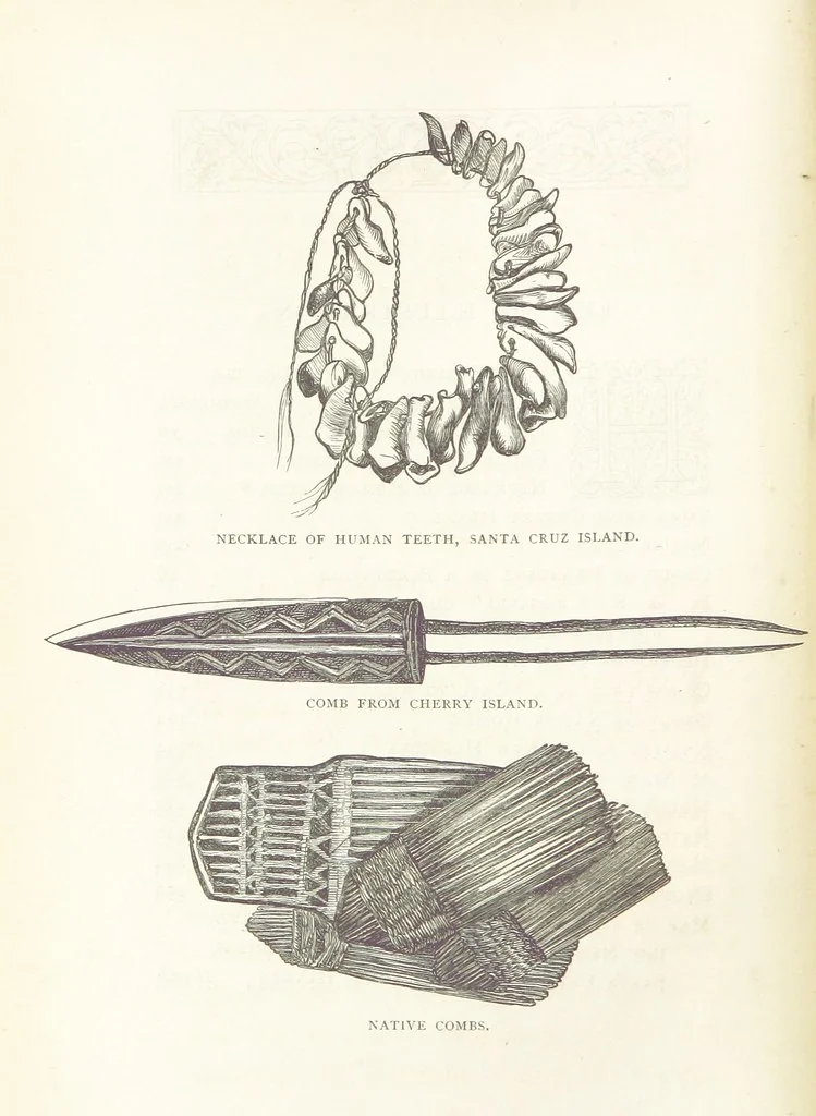An illustration from The Cruise of the “Rosario” amongst the New Hebrides and Santa Cruz Islands. ... With map and illustrations, 1873, leaf 22