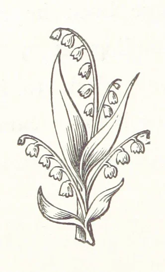 An illustration from The Cruise of the “Rosario” amongst the New Hebrides and Santa Cruz Islands. ... With map and illustrations, 1873, leaf 228