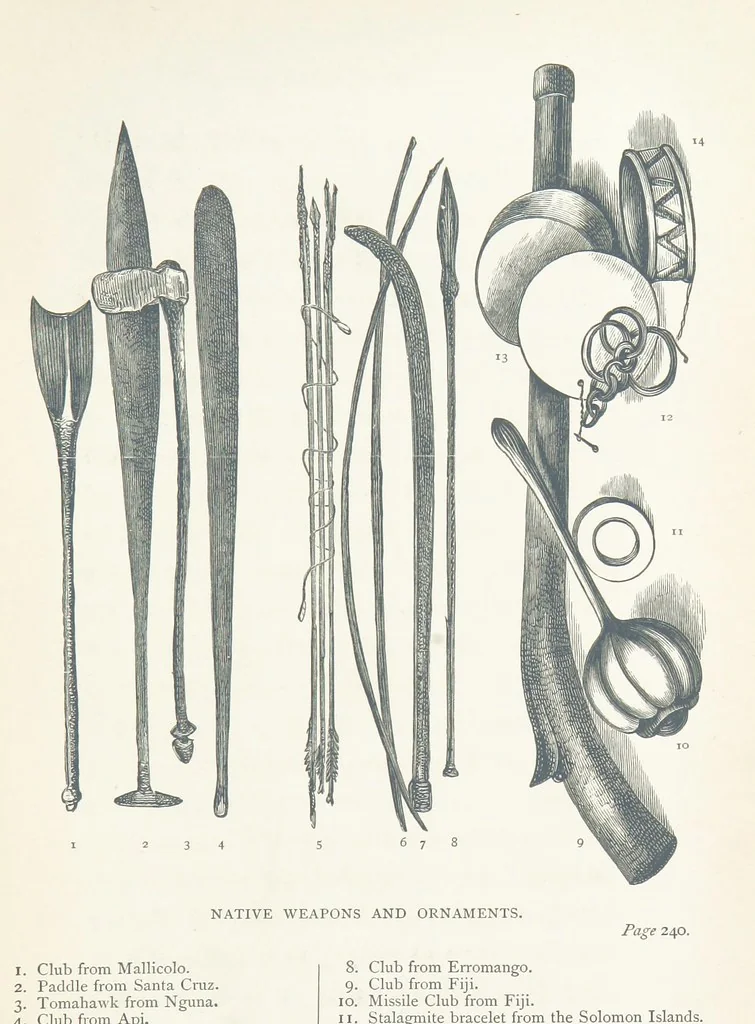 An illustration from The Cruise of the “Rosario” amongst the New Hebrides and Santa Cruz Islands. ... With map and illustrations, 1873, leaf 275